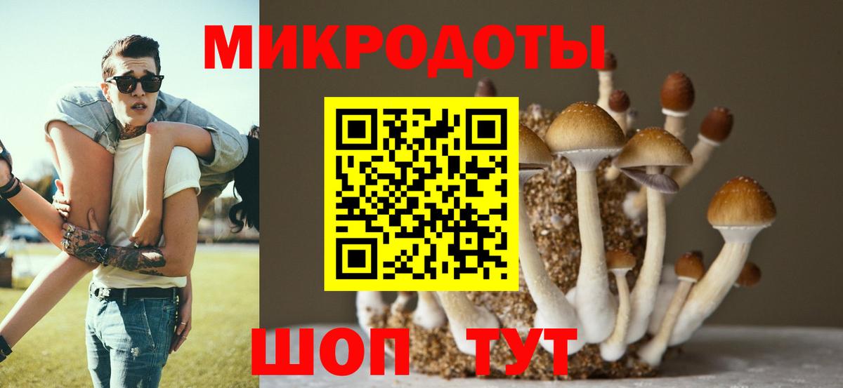 Галлюциногенные грибы прущие грибы Люберцы